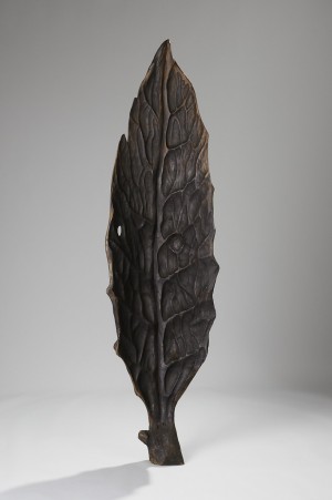 Leaf, 2011