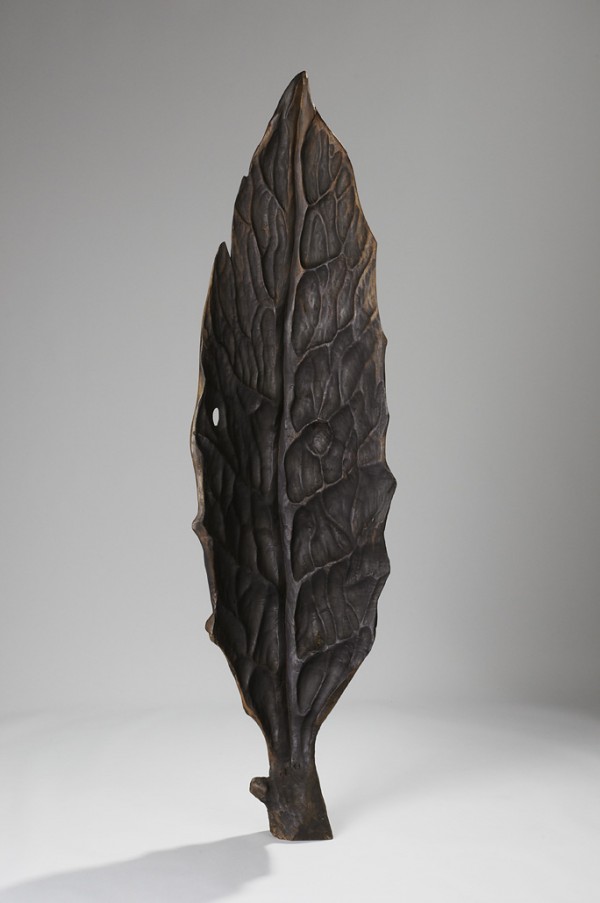 Leaf, 2011