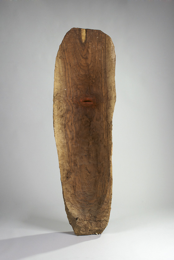 Shield, 1988