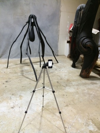 Studio Shot 3293, 2014