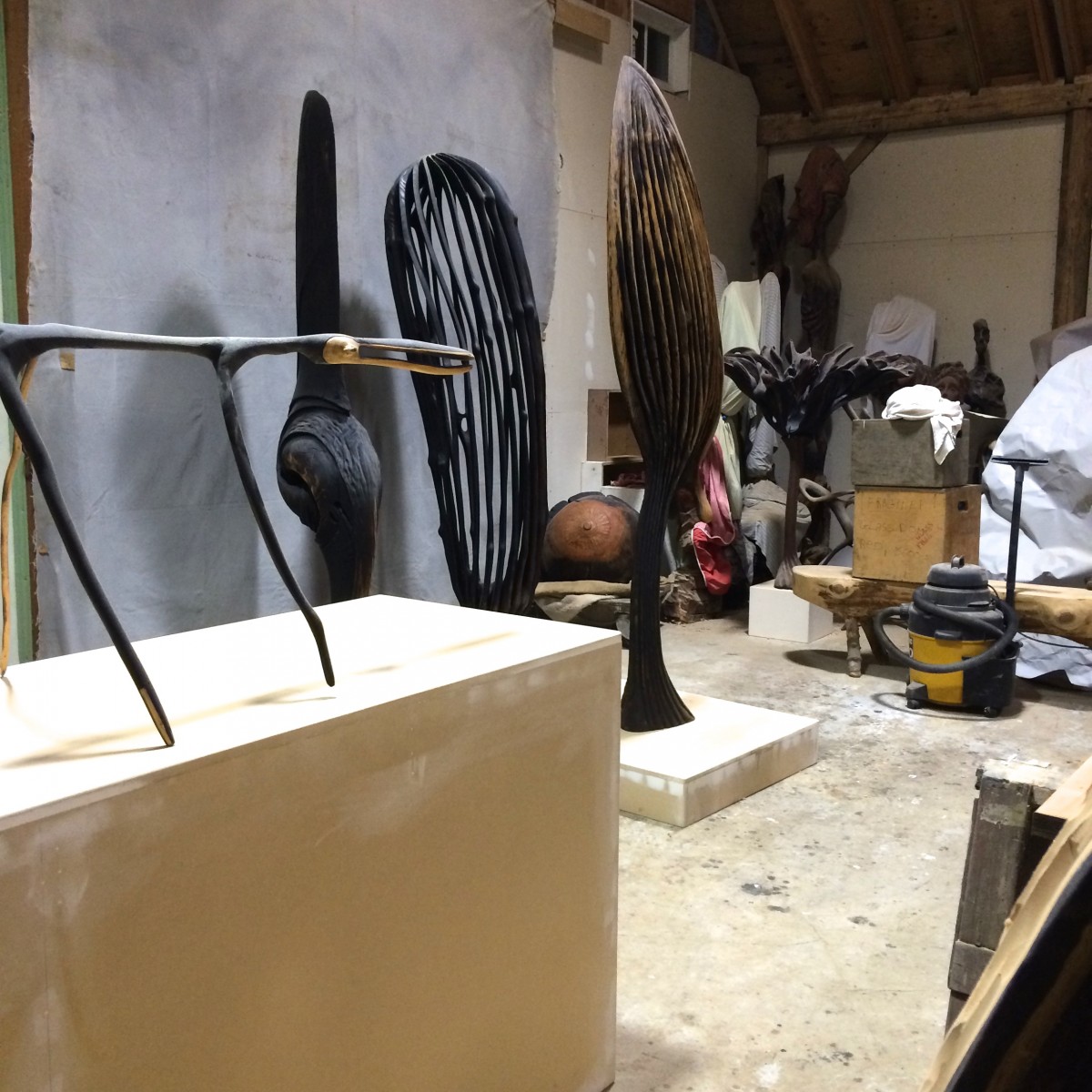 Studio Shot 3459, 2014