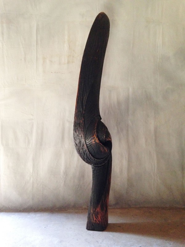 Untitled 31, 2013
