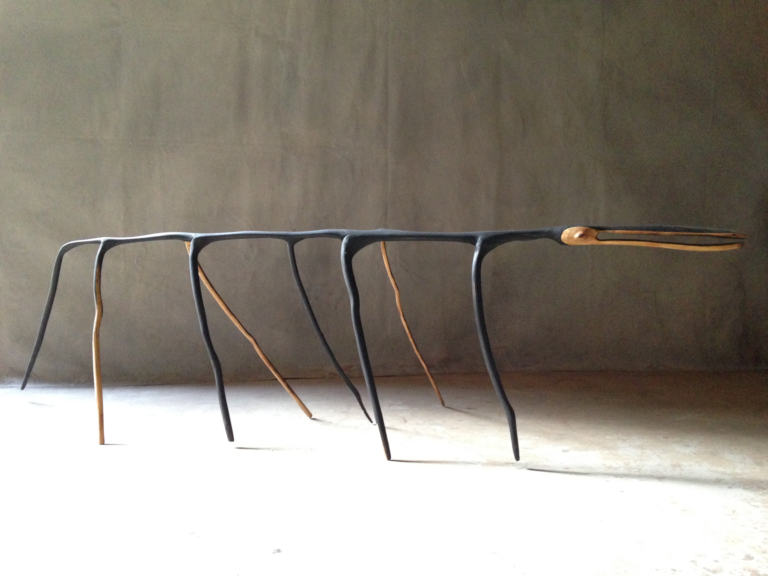 Walking Stick, 2013