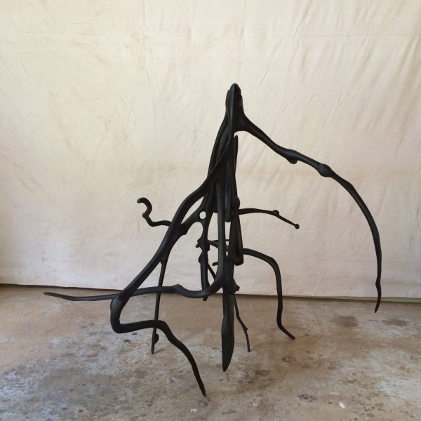 LookyLu, 2015 by J. Nick Taylor