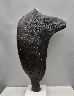 Catcher, 2016 by J. Nick Taylor