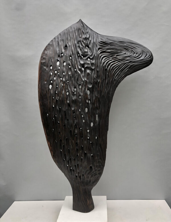 Catcher, 2016 by J. Nick Taylor