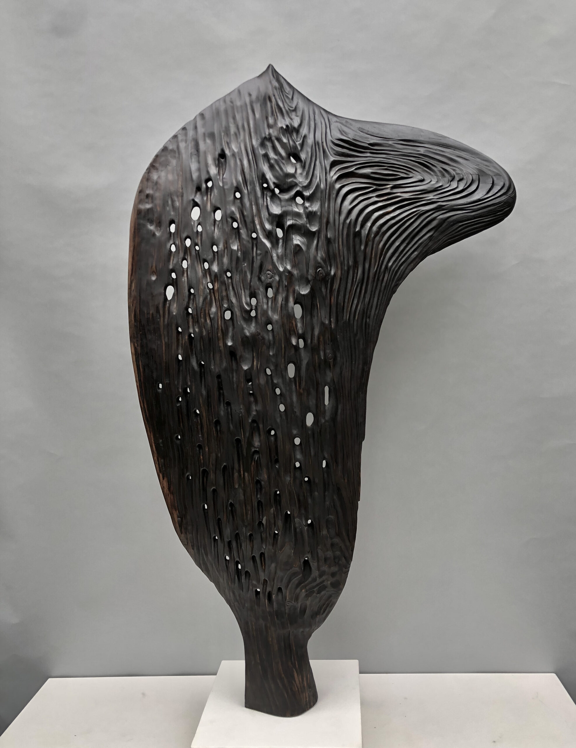 Catcher, 2016 by J. Nick Taylor