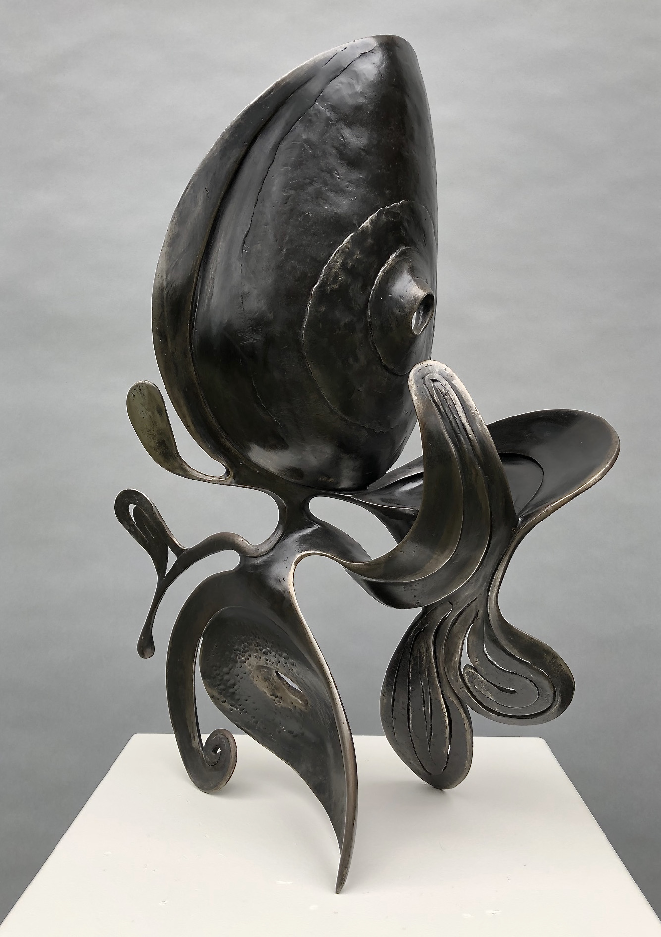 Loopy, 2018 by J. Nick Taylor