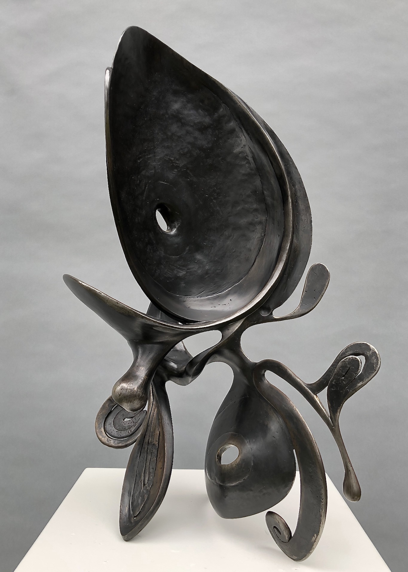 Loopy, 2018 by J. Nick Taylor