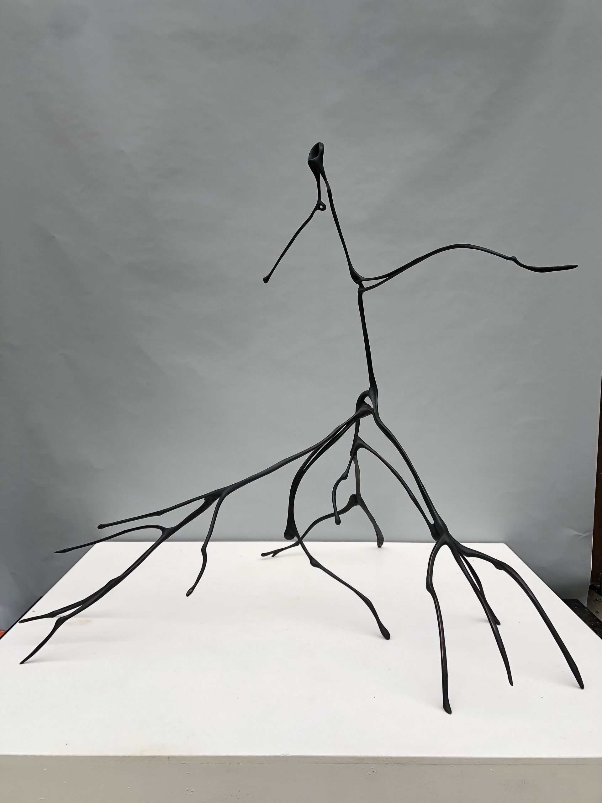 Lightning, 2014