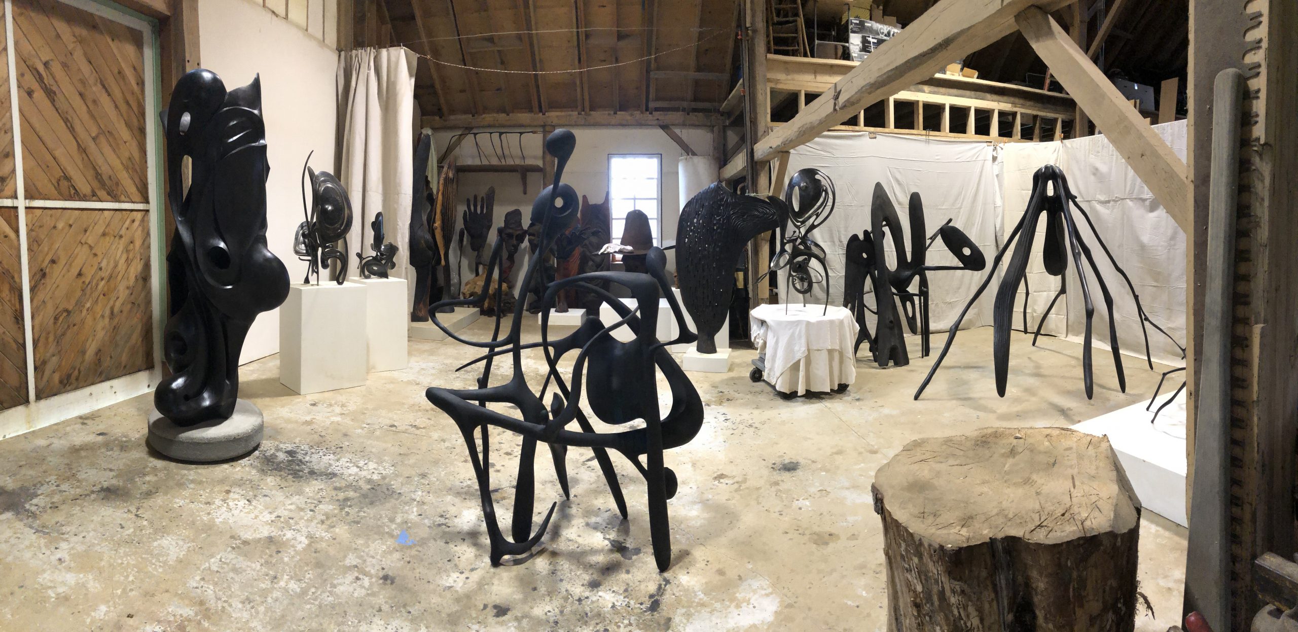 Studio Shot A - Wood, 2022, Panoramic